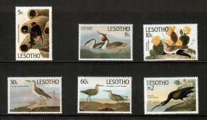 Lesotho 1985 - Audobon Birds - Set of 6 Stamps - Scott #481-6 - MNH