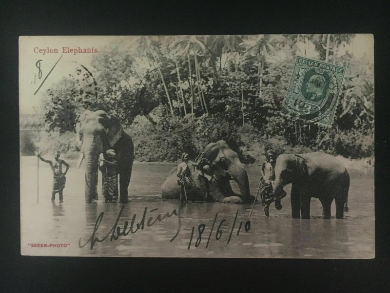 1910 Ceylon RPPC postcard Cover to Tonkin Vietnam Elephants in River