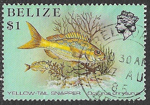 BELIZE 1984 $1.00 Yellow-tail Snapper Fish Pictorial Sc 711 VFU