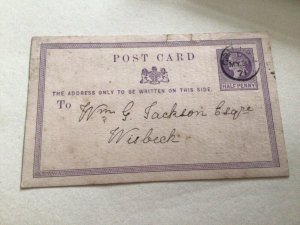 Queen Victoria 1871 Halfpenny Lilac Public Education postcard  A13840