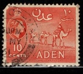 Aden -  #49 Camel Transport  -  Used