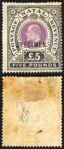 Natal SG144s FIVE Pound Postage Revenue opt SPECIMEN (toned) Cat 275 pounds