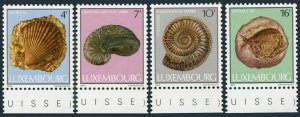 Luxembourg 714-717,MNH.Michel 1107-1110. Marine Life,Fossils-shells,1984.