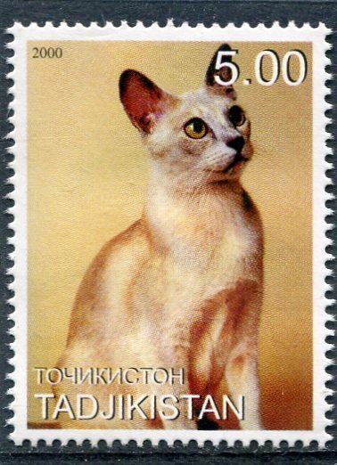 Tajikistan 2000 DOMESTIC CAT 1 value Perforated Mint (NH)