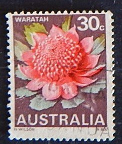 Flowers, Australia, (1556-Т)