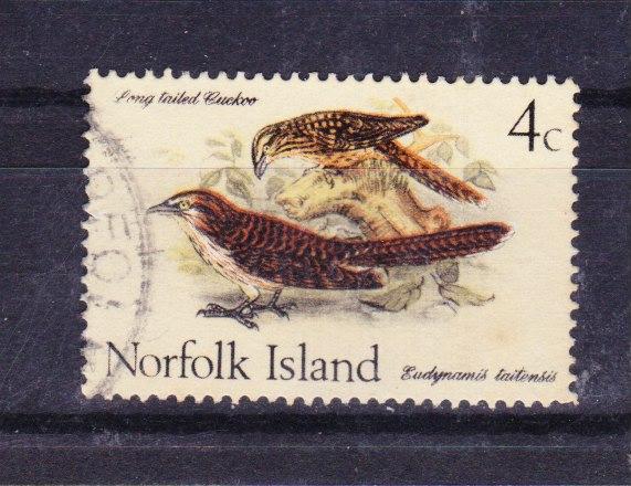 NORFOLK ISLAND 1970 Birds 4c Cuckoo used