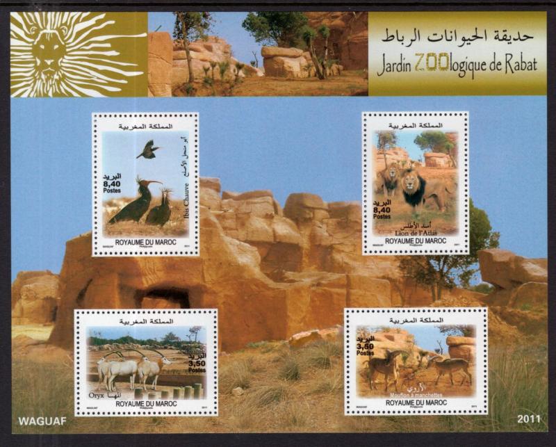 Morocco 1147a Animals Souvenir Sheet MNH VF