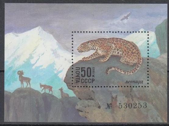 Russia - 1985 Fauna Panthera Sc# 5393 - MNH (9368)
