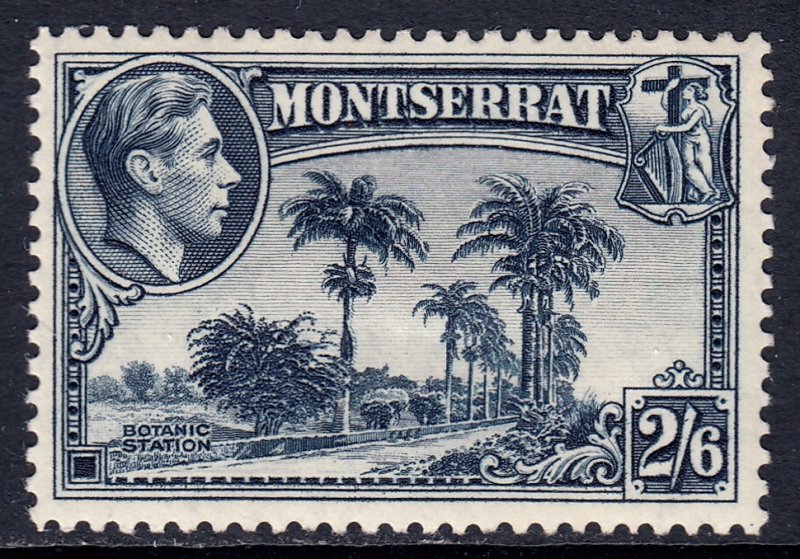 Montserrat - Scott #100a - P13 - MH - SCV $20.00