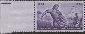 # 1060 MINT NEVER HINGED NEBRASKA TERRITORY