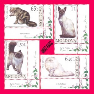 MOLDOVA 2007 Nature Fauna Farm Domestic Animals Pets Cats 4v Sc560-563 MNH