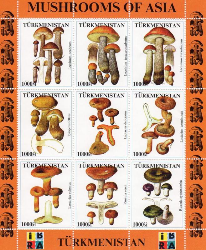 Turkmenistan 1999  Mushrooms of Asia - IBRA Expo - Sheetlet (9) MNH VF