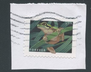 US Scott # 5398 Squirrel Tree Frog - Used - on paper