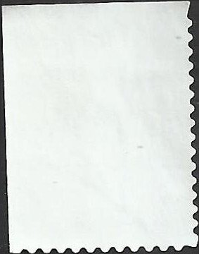 # 3497 USED LOVE ROSE