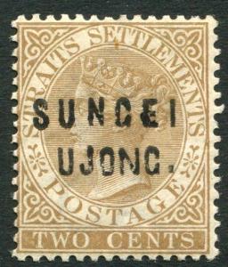 SUNGEI UJONG-1883-84 2c Brown Sg 30 MOUNTED MINT V19925