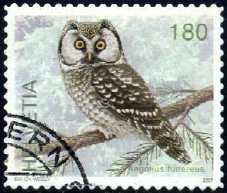 Bird, Owl, Aegolius Funereus, Switzerland stamp SC#1276 Used