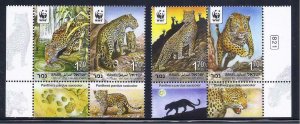 ISRAEL 2011 ENDANGERED ANIMAL LEOPARD TIGER PANTHER 4 STAMP FAUNA MNH WWF