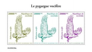 Guinea Birds of Prey on Stamps 2020 MNH African Fish Eagle Eagles 3v M/S