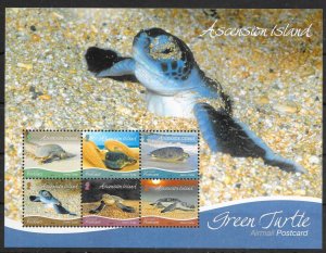 ASCENSION SGMS1220 2015 GREEN TURTLE M/S MNH 