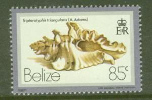 BELIZE  Scott 483 MNH** Shell stamp 1980 CV $5