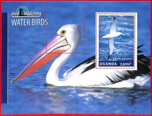 A3170 - UGANDA, ERROR MISSPERF souvenir s: 2014 water birds, Diomedea...-