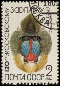 Russia 5226 - Cto - 2k Mandrill / Moscow Zoo, 120yrs  (1984)