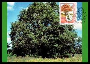 Bophuthatswana 169-172 Trees Set of Four Maxi Cards U/A FDC