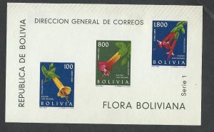 Bolivia souvenir sheet  mlh sc C239a