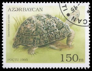 Azerbaijan #522 Leopard Tortoise; CTO