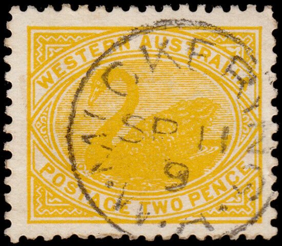 Western Australia Scott 91, Perf. 12.5 x 12 (1905) Used VF M