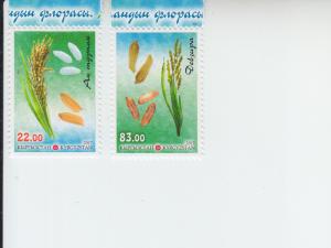 2017 Kyrgyzstan Rice (2)  (Scott NA) MNH