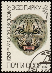 Russia 5228 - Cto - 4k Snow Leopard / Moscow Zoo, 120yrs  (1984) +