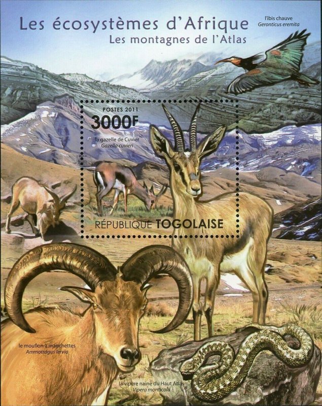 The Atlas Mountains Stamp Gazelle Ammotragus Lervia Vipera Monticola S/S MNH