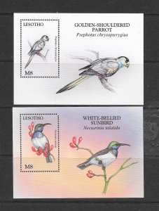 BIRDS - LESOTHO #1094-5 S/S MNH