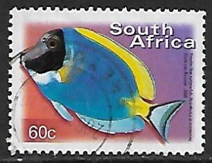 South Africa # 1179 - Powder-blue Surgeonfish - used....{KlGr15}