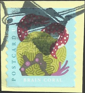 # 5370 Used Coral Reef: Brain & Moray eel