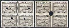 Newfoundland 1941-44 KG6 Salmon 10c in perf & imperf ...