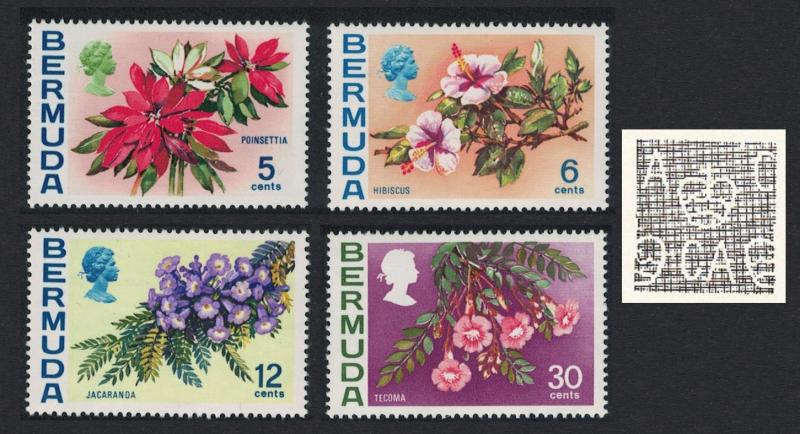 Bermuda Poinsettia Hibiscus Jacaranda Tecoma Flowers 4v Watermark Ww12 Upright