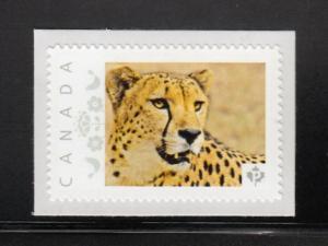 CHEETAH, GEPARD wild cat picture postage stamp MNH Canada 2013 [p4w6/4]