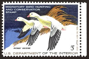 U.S. #RW44 MINT OG NH