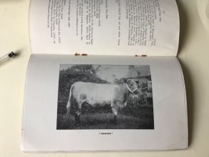 The Field Ellesmere Mr E. K. Bickley’s Shorthorn Herd 1900  Sale Ref  53899