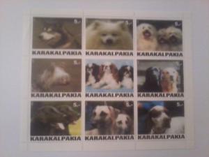 KARAKALPAKIA SHEET DOGS