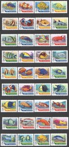 B0662 2016 Solomon Islands Fishes Marine Life Fauna #3981-4016 Big Set Mnh