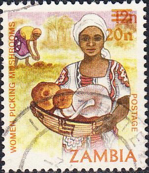 Zambia #358  Used