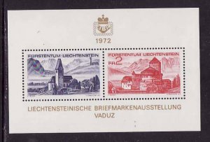 Liechtenstein-Sc#505-unused NH sheet-Castles-1972-