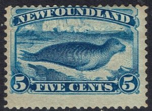 NEWFOUNDLAND 1894 SEAL 5C