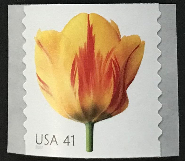 US MNH #4171 Coil Single Tulip Beautiful Blooms SCV $2.00
