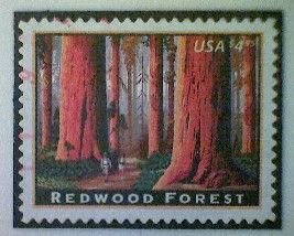 United States, Scott #4378, used(o), 2009, Redwood Forest, $4.95