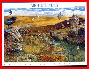 U. S. 2003 #3802, Arctic Tundra pane of 10  --  At face