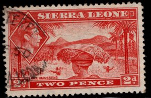 Sierra Leone Scott 176A Used stamp